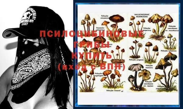 мяу мяу мука Волосово