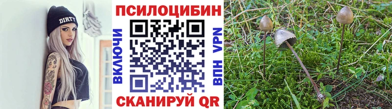 МЕГА ссылки  цены   Ермолино  Галлюциногенные грибы ЛСД 